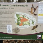 Cavenham Heath NNR Sign